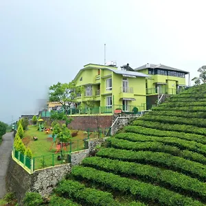 Vaga Mist Vagamon Idukki
