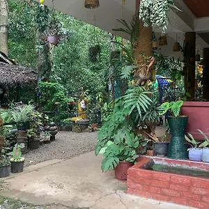 Jungleview Idukki